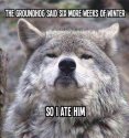 Wolf.jpg