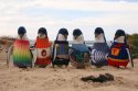 oldest-man-australia-knits-penguin-sweaters-1.jpg