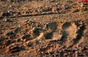 Foot prints and DR farm.png