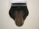 bear-in-cat-door-tdc_1439751504134_22789732_ver1.0_900_675.jpg