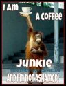 Coffeejunkie.jpg