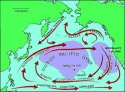 north-pacific-current.jpg