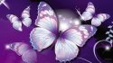 purple-butterfly-2.jpg