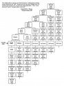 Family Tree chart.jpg