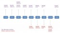 timeline+rapes.JPG timeline+rapes.JPG