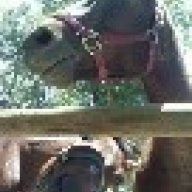 Cajun Snooper