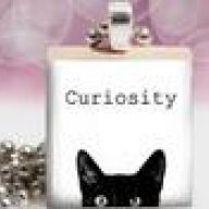 curiositycat