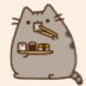 pusheen19