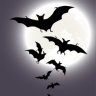 Bats