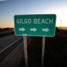 Gilgo_Drifter