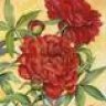 RubyB
