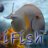 iFish