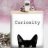 curiositycat