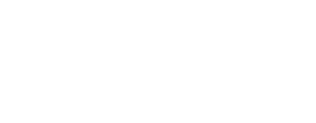 namus-logotype.png