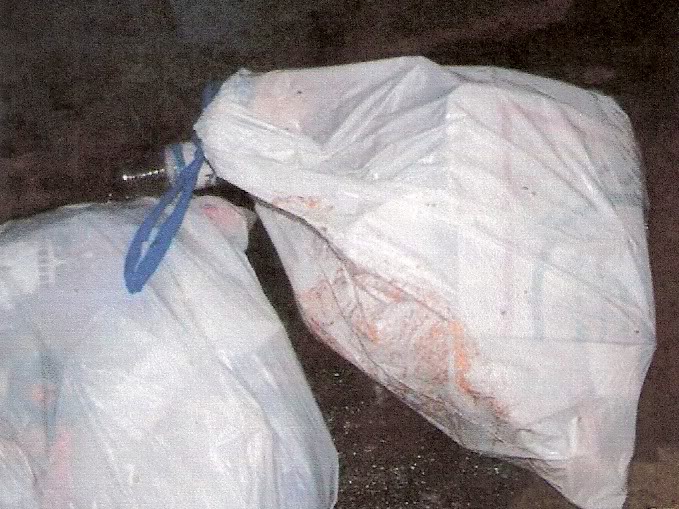 two-trash-bags-in-casey-anthonys-trunk-from-tony-lazarro-apartment-exhibit-6-in-cindy-anthony-deposition.jpg
