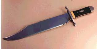 Image result for bowie knife