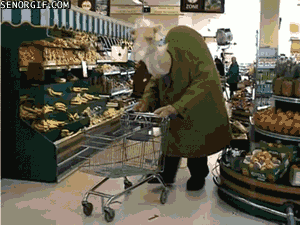 grocery.gif