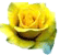 flowers%20(26).gif