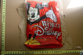 world%20of%20disney%20bag.jpg