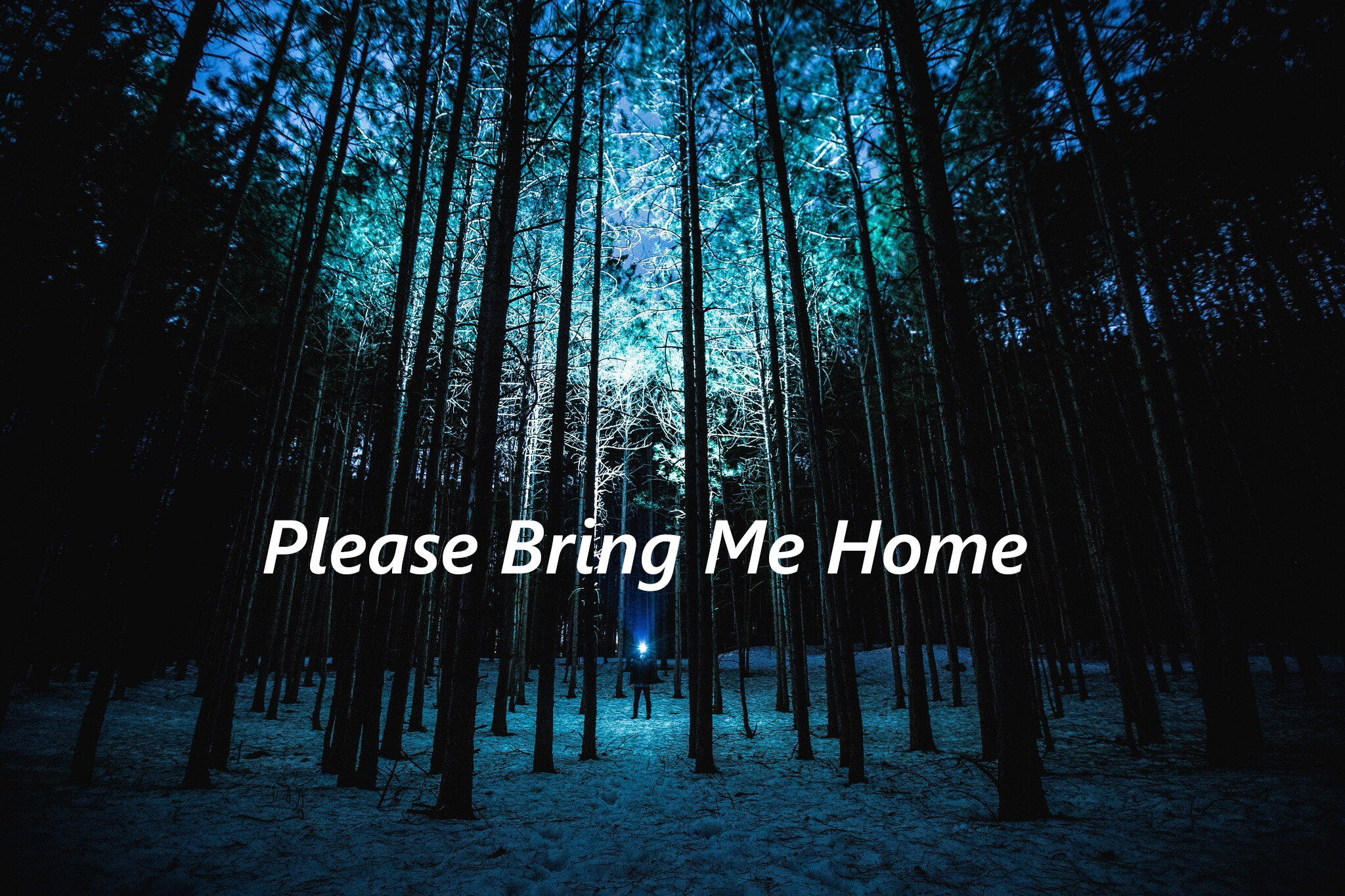 pleasebringmehome.com