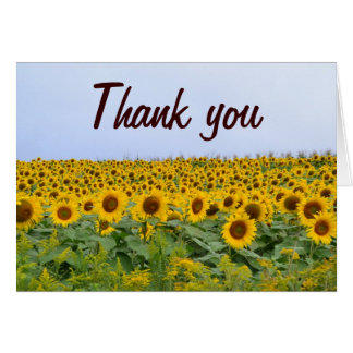 sunflower_thank_you_card-rc3bebb08ac144974a280a13803a3184e_xvua8_8byvr_324.jpg