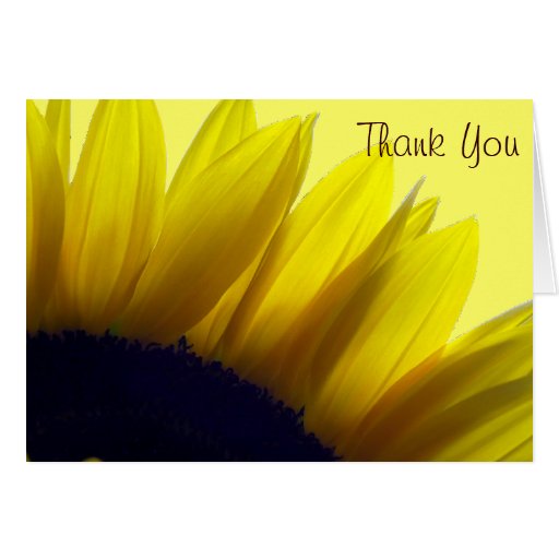 sunflower_thank_you_cards_message_inside-re1c82c03c5a94ea89077b69edf38a712_xvua8_8byvr_512.jpg
