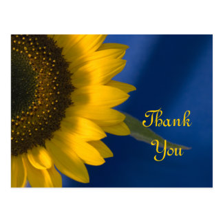 sunflower_on_blue_thank_you_postcard-raa48e395bc6a4c4694ce584d41c8e51e_vgbaq_8byvr_324.jpg