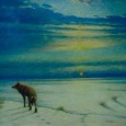 Coyote-at-Sunrise_cropto_115x115.JPG