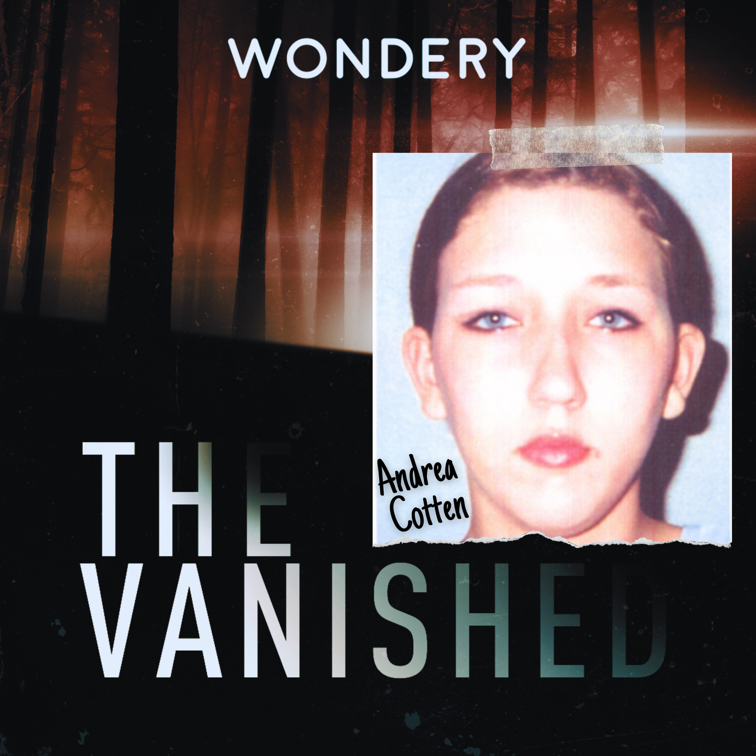 www.thevanishedpodcast.com