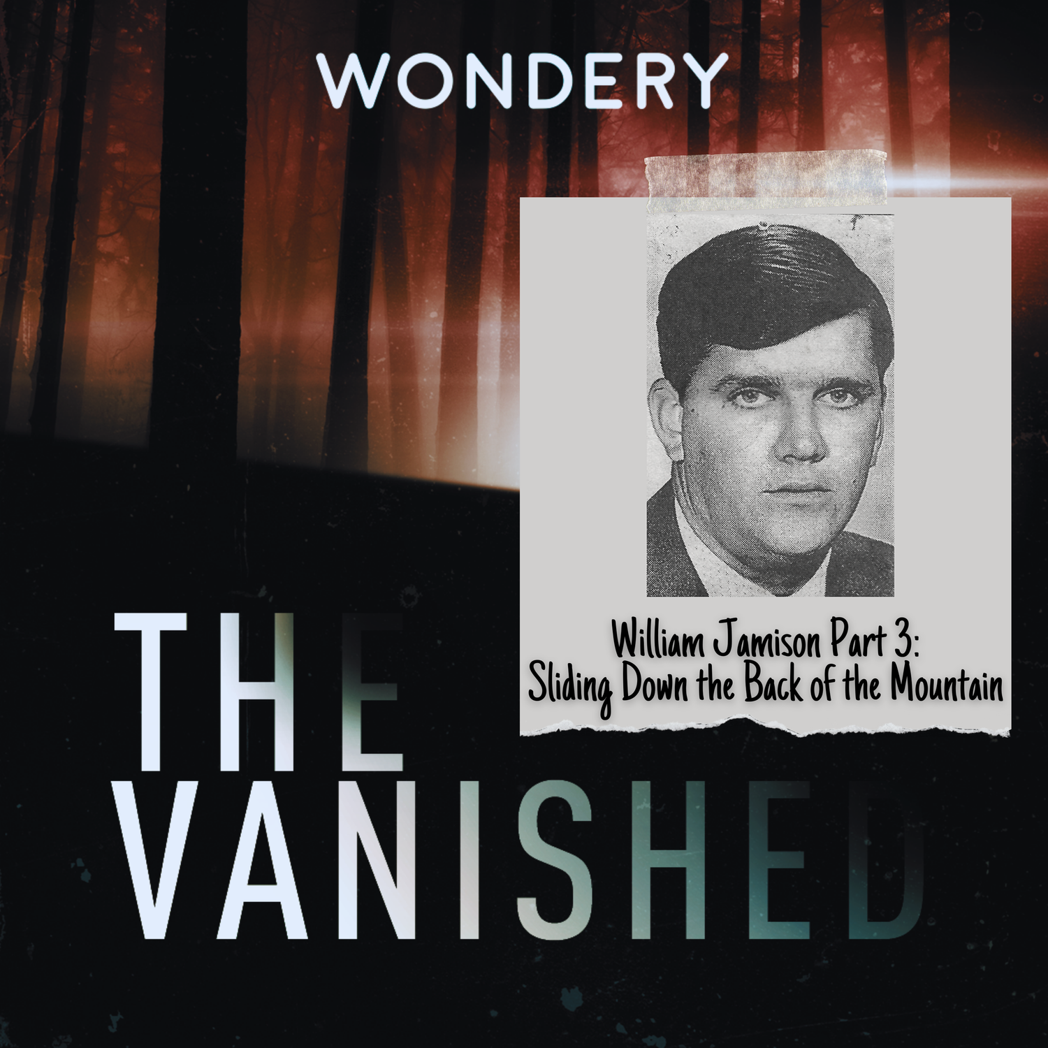 www.thevanishedpodcast.com