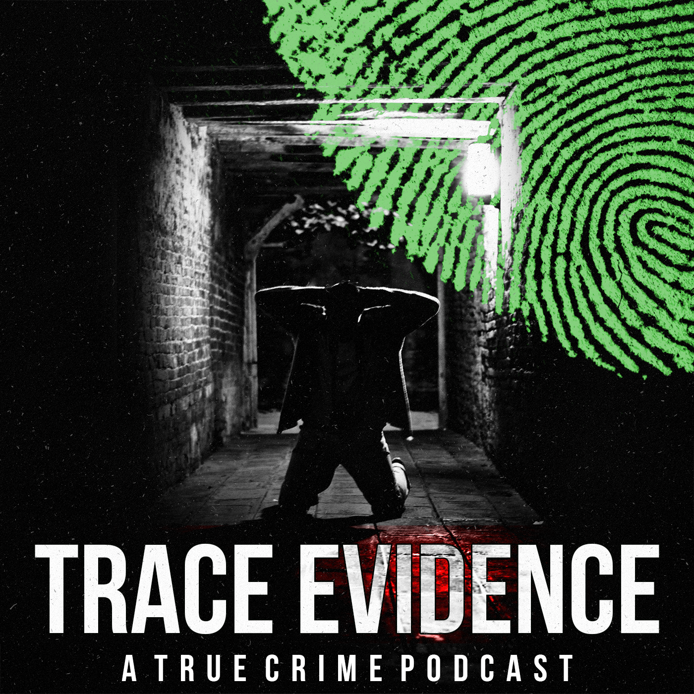 www.trace-evidence.com