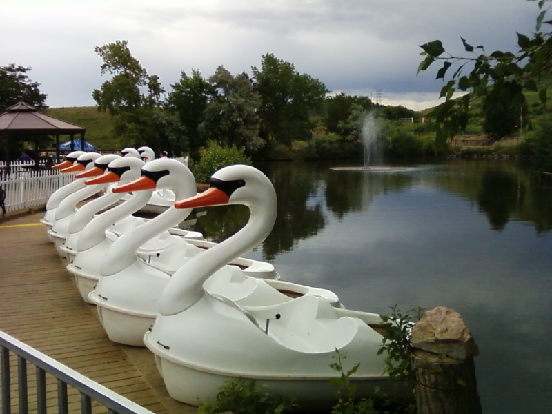 Swan_paddle_boats.jpg