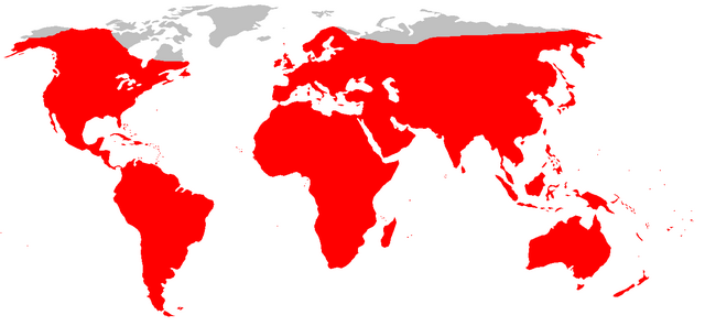 640px-Brown_rat_distribution.png