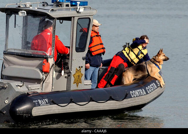 Aboard a Contra Costa County Sheriff's boat, CARDA dog handler Song Kowbell watches her Search and Rescue dog  Zippy for reactions as police conducted an extensive search of the Berkeley Marina Saturday for missing Modesto woman Laci Rocha Peterson.  (Contra Costa Times/Karl Mondon/January 4, 2003)