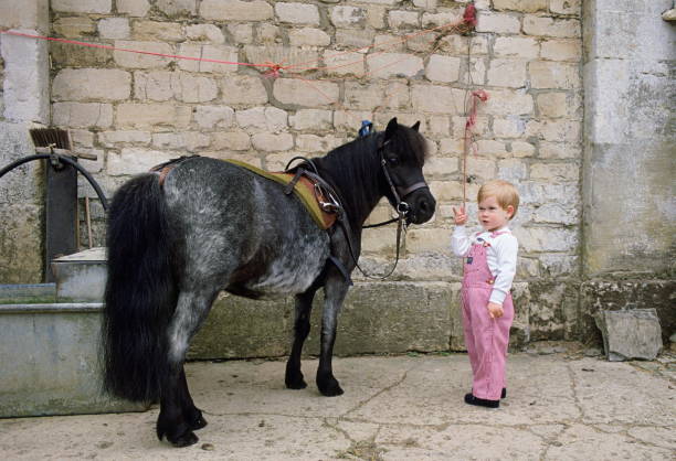 prince-harry-with-a-shetland-pony-at-highgrove-picture-id52117495
