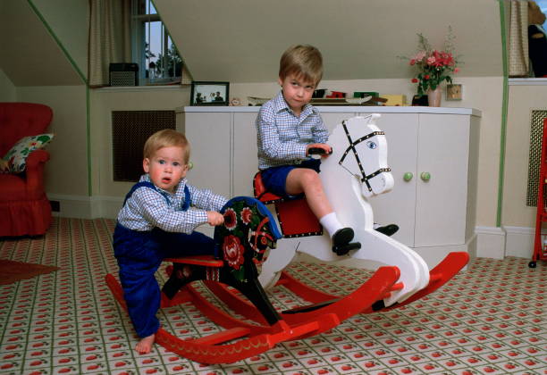 prince-william-and-prince-harry-playing-on-a-rocking-horse-in-their-picture-id52118192