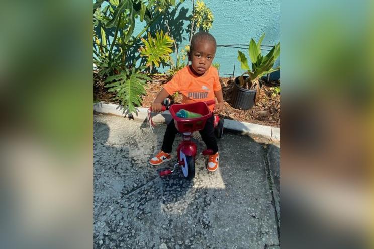 St. Petersburg police announced the body of missing toddler Taylen Mosley was found in an alligators mouth, a day after his mothers murder.