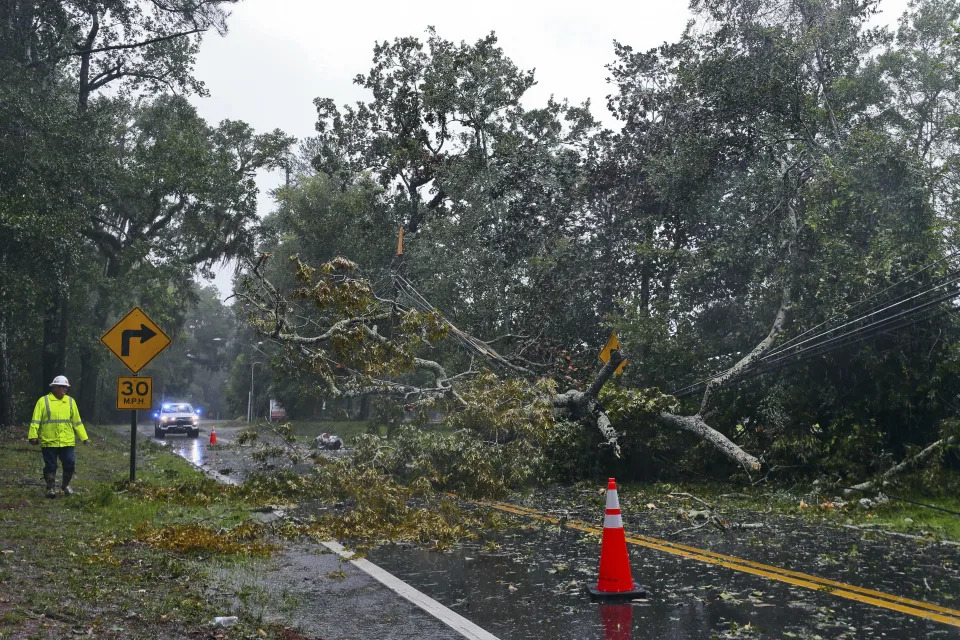 A City of Tallahassee electrical worker assesses damage to power lines after a tree fell as Hurricane Idalia made landfall. / Credit: Phil Sears / AP
