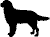 animated-dog-image-0503.gif