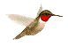 animated-hummingbird-image-0012.gif