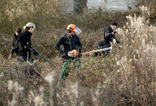 0_Oak-Road-Playing-Fields-cutting-back-undergrowth.jpg