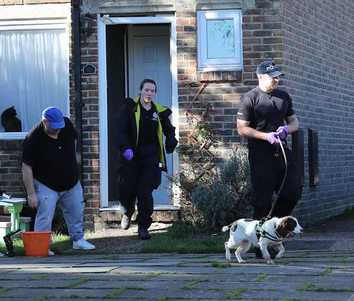 2_Search-dogs-and-police-officers-were-picture-going-in-and-out-of-Sarah-Wellgreens-house.jpg