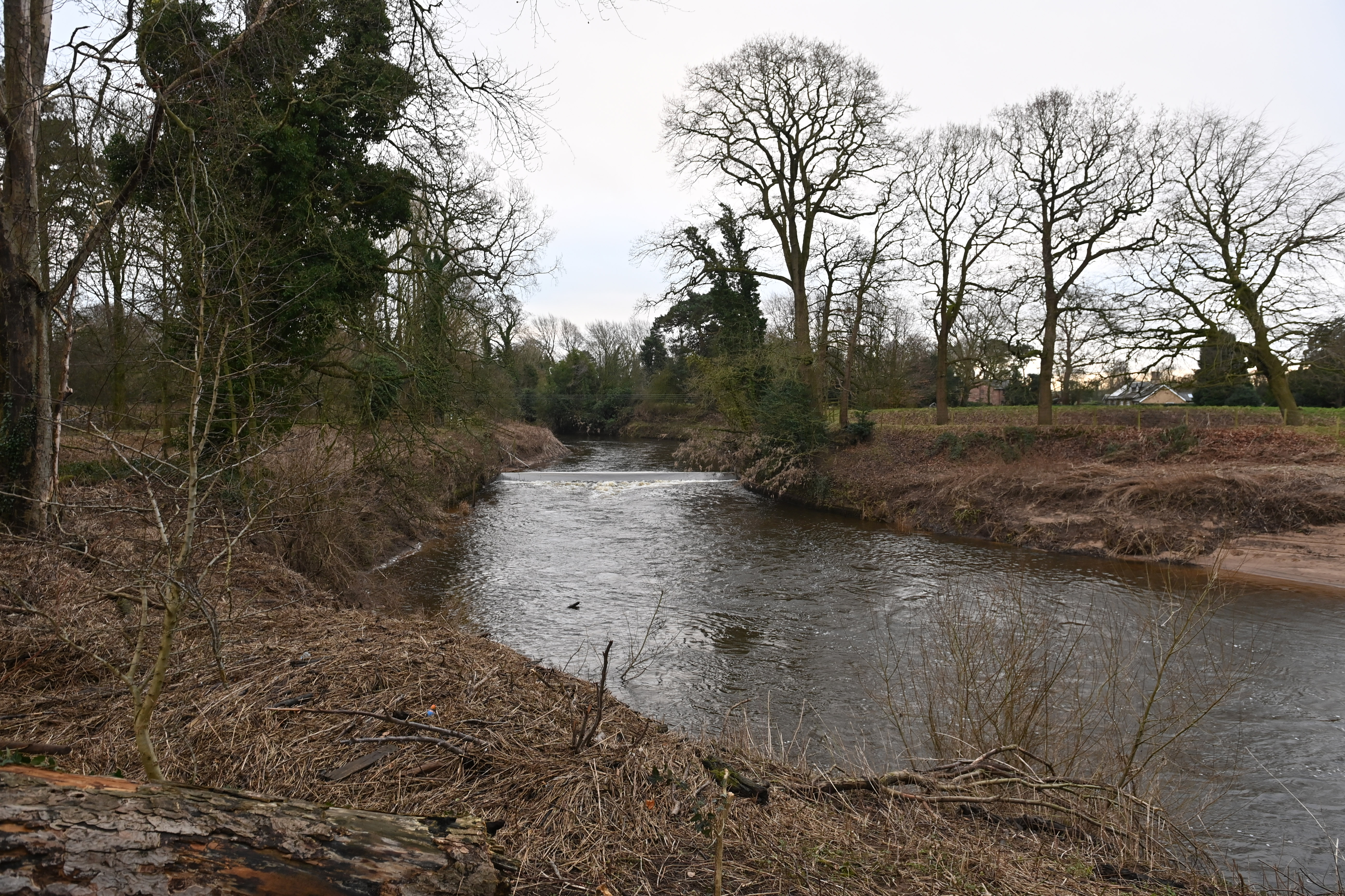 The 45-year-old vanished after walking along a river path in St Michael's on Wyre, Lancashire The 45-year-old vanished after walking along a river path in St Michael's on Wyre, Lancashire